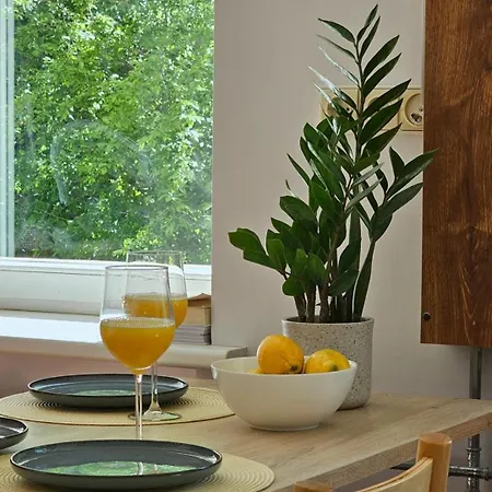 City Apartment Palanga