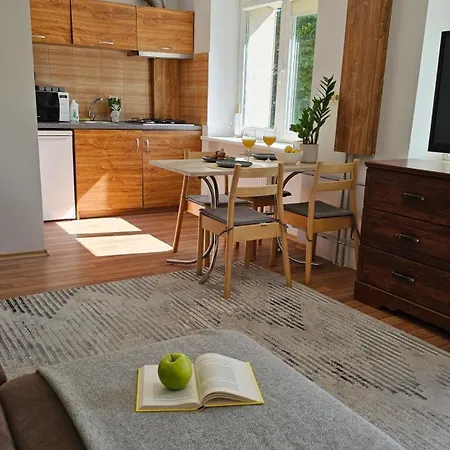 City Apartment Lejlighed