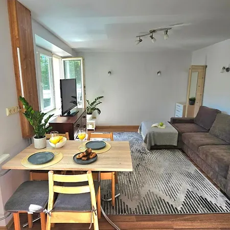 Lejlighed City Apartment