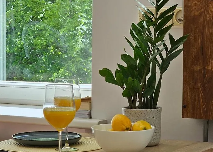 City Apartment Palanga