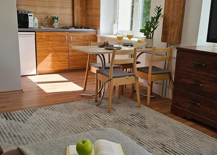 City Apartment Apartment