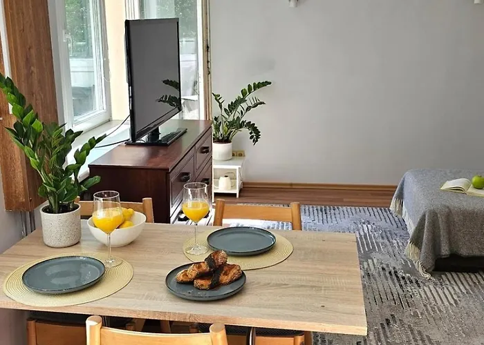 City Apartment Apartment Palanga