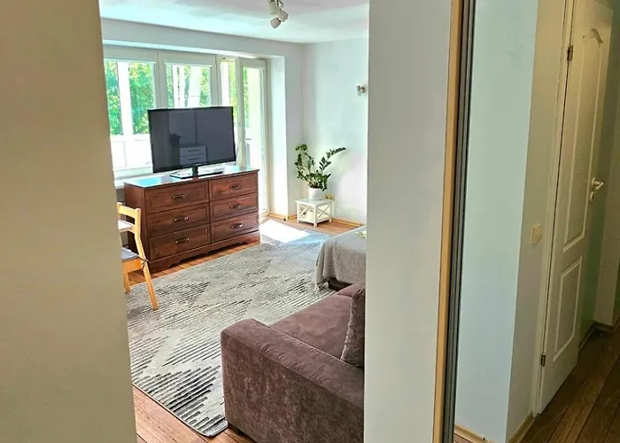 Apartment City Apartment Palanga